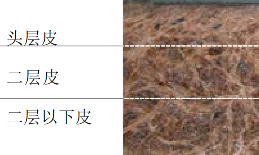 第二阶段